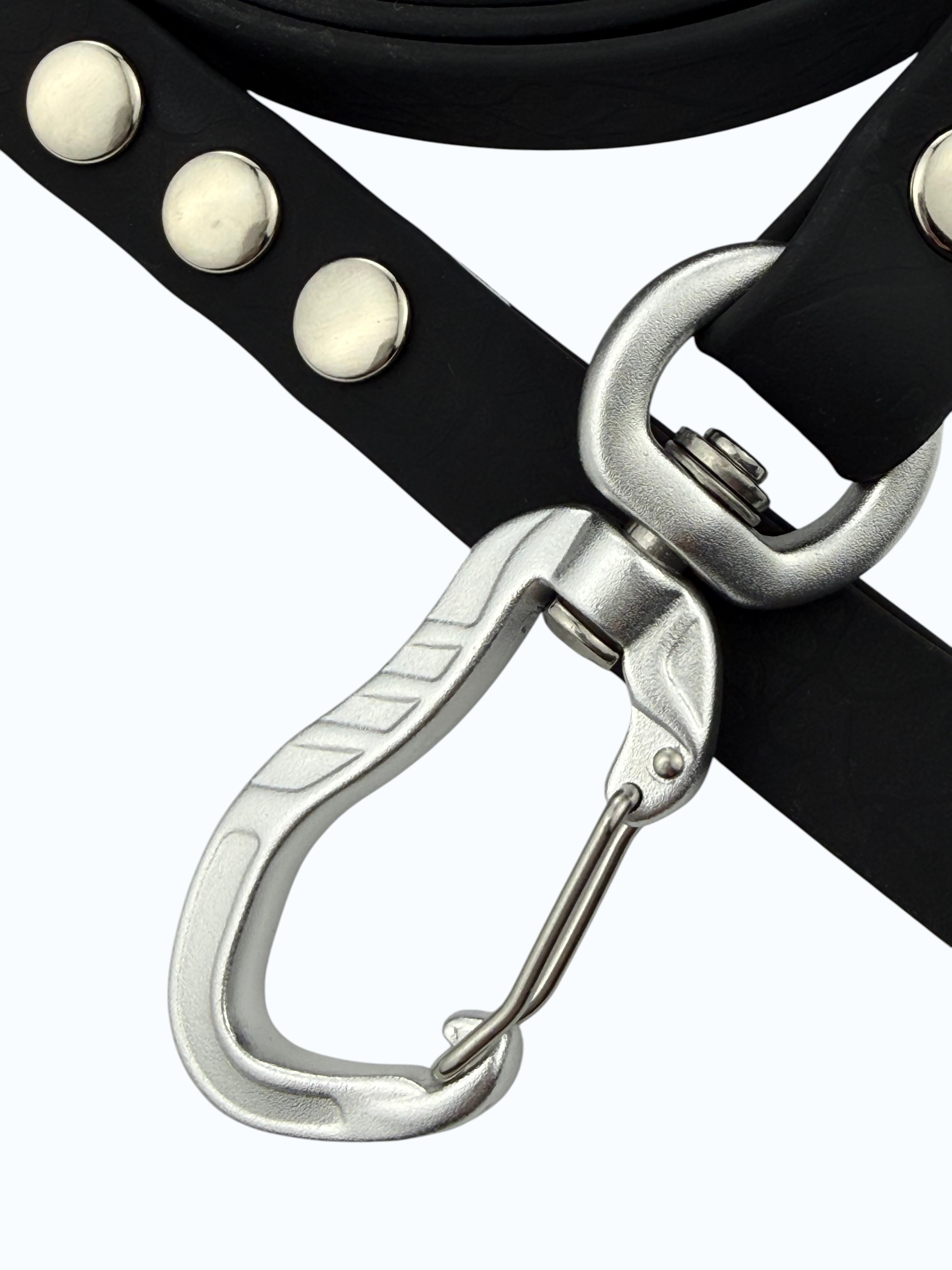 leash-midnight-0