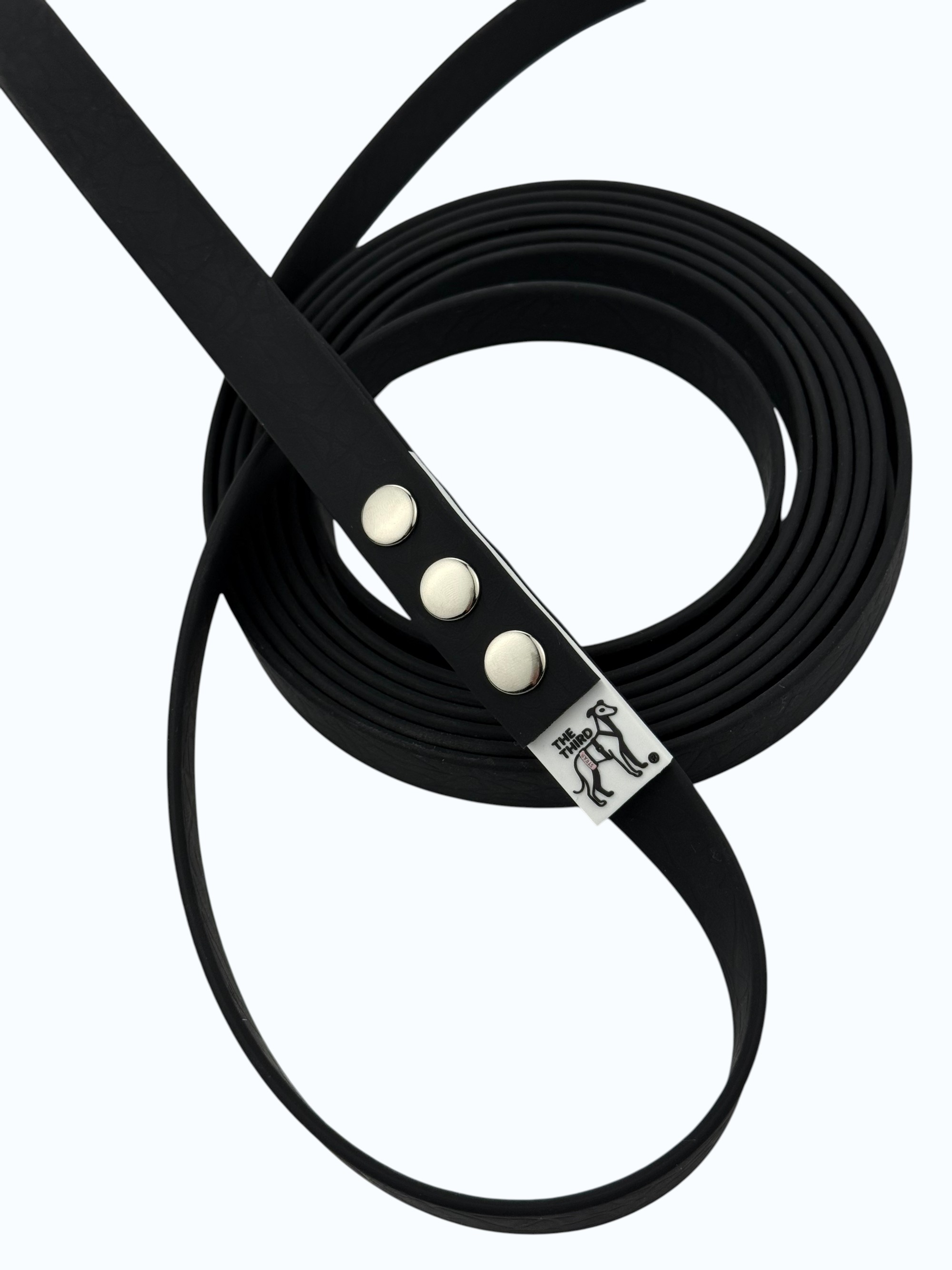 leash-midnight-1