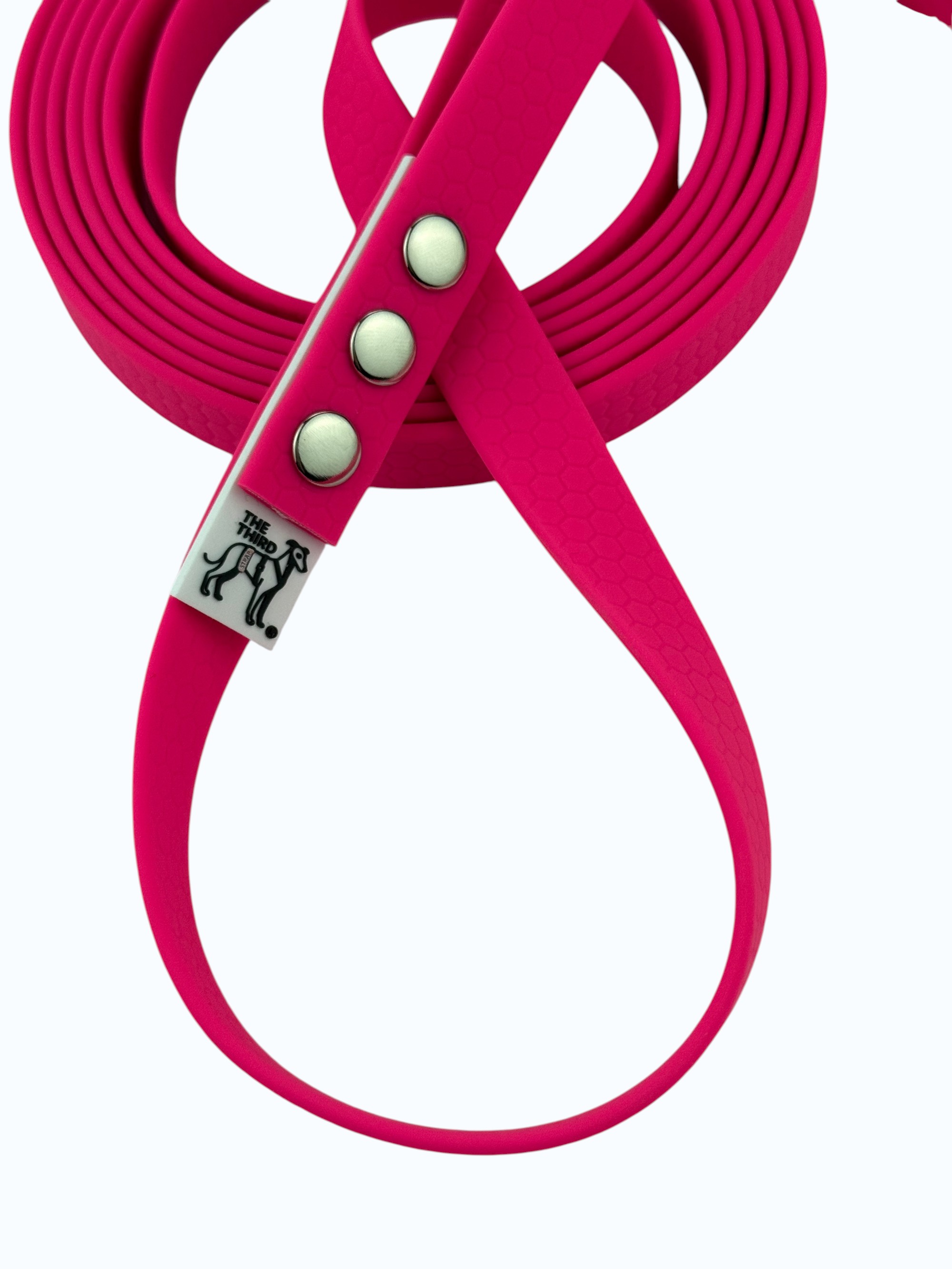 leash-princess-1