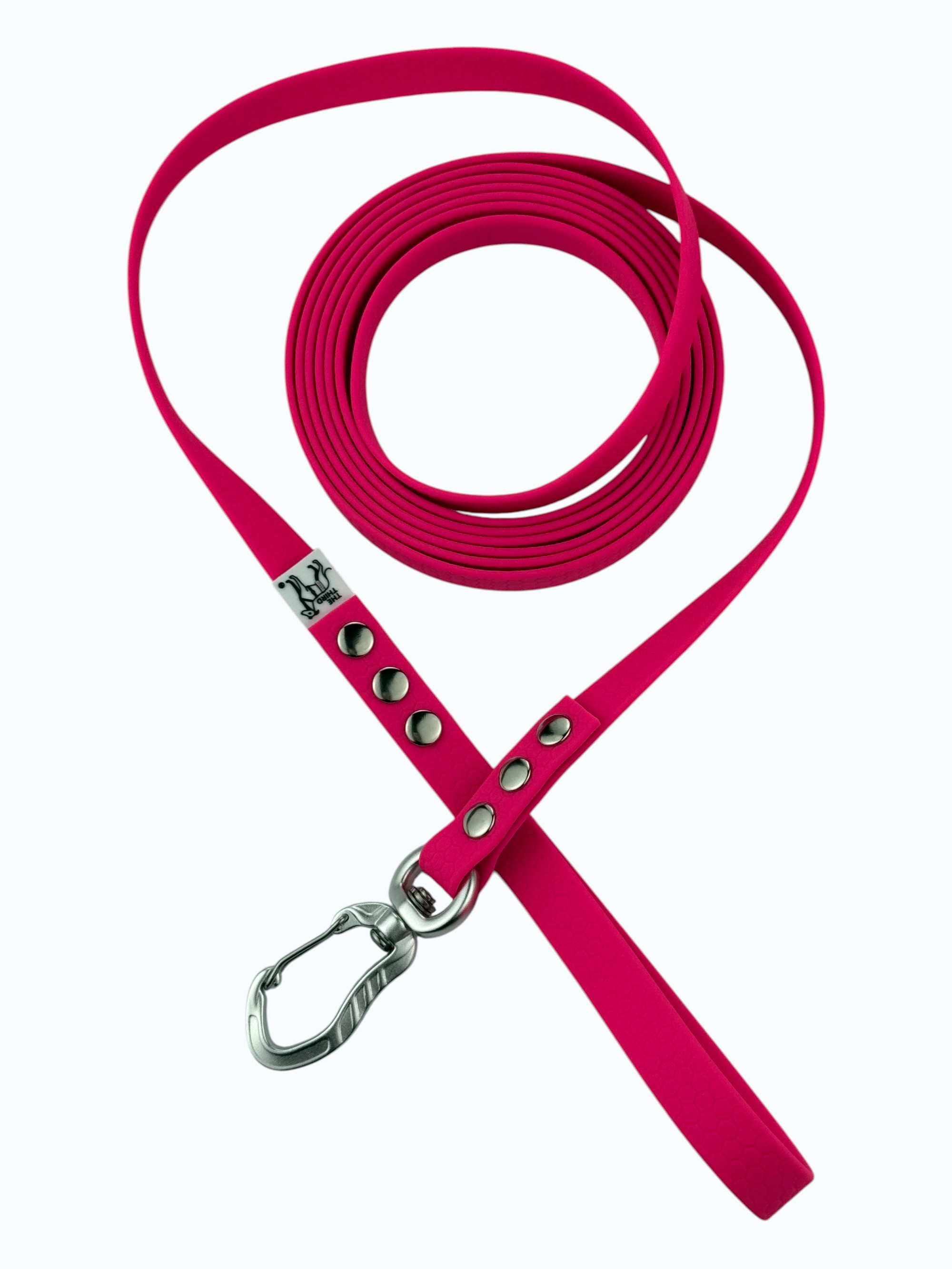 leash-princess-2