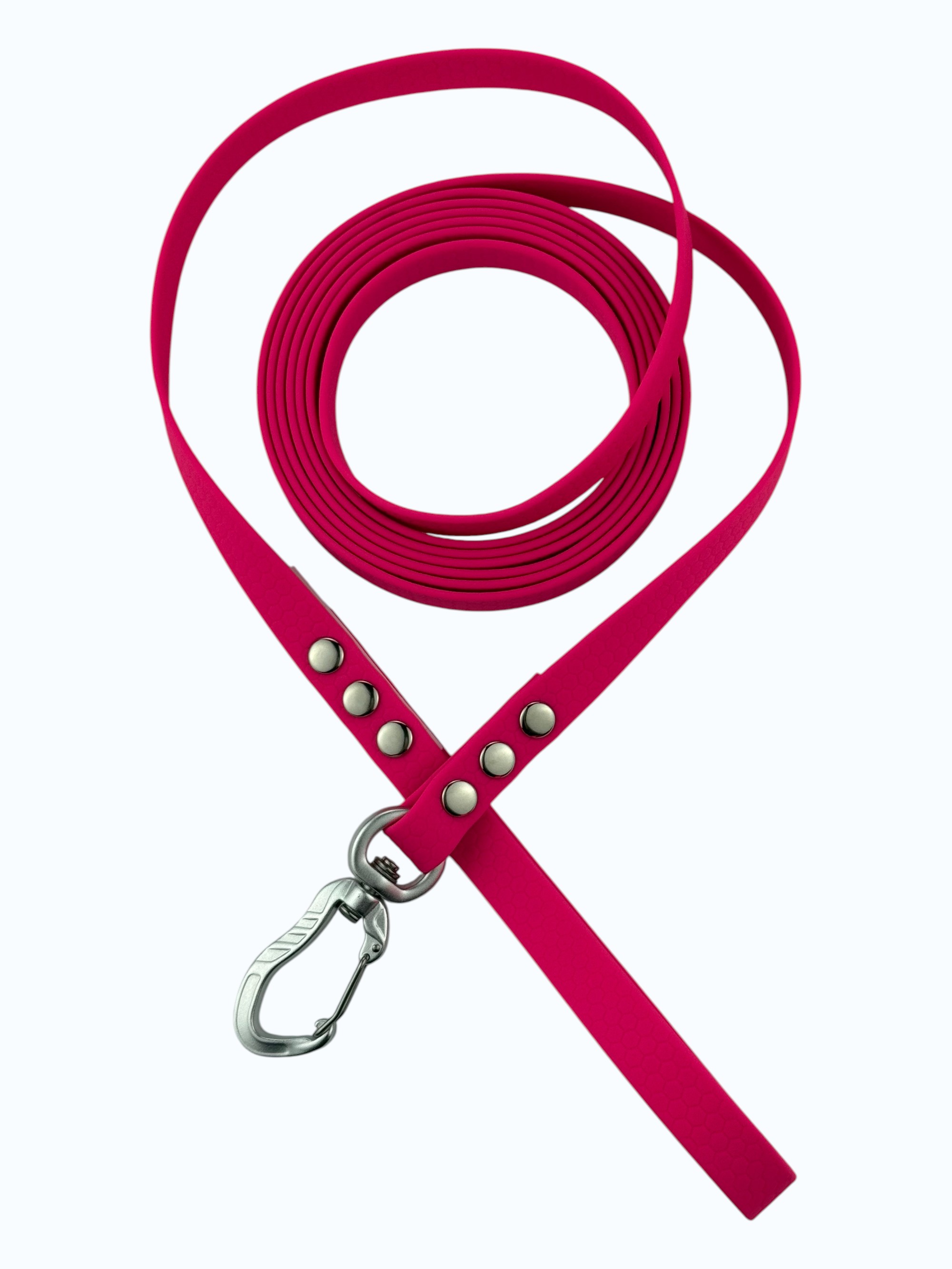 leash-princess-3